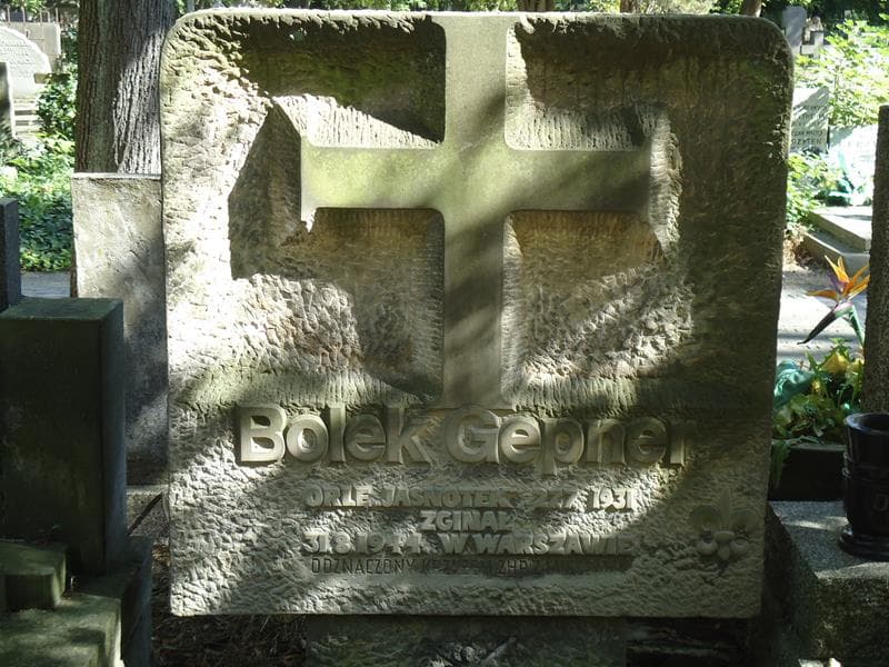 Zdjęcie grobu Teresa Zbrowska (2)