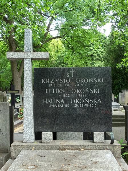 Zdjęcie grobu Feliks Okoński (2)
