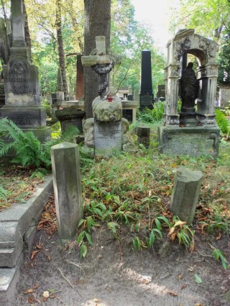 Zdjęcie grobu: Teodor Rościszewski