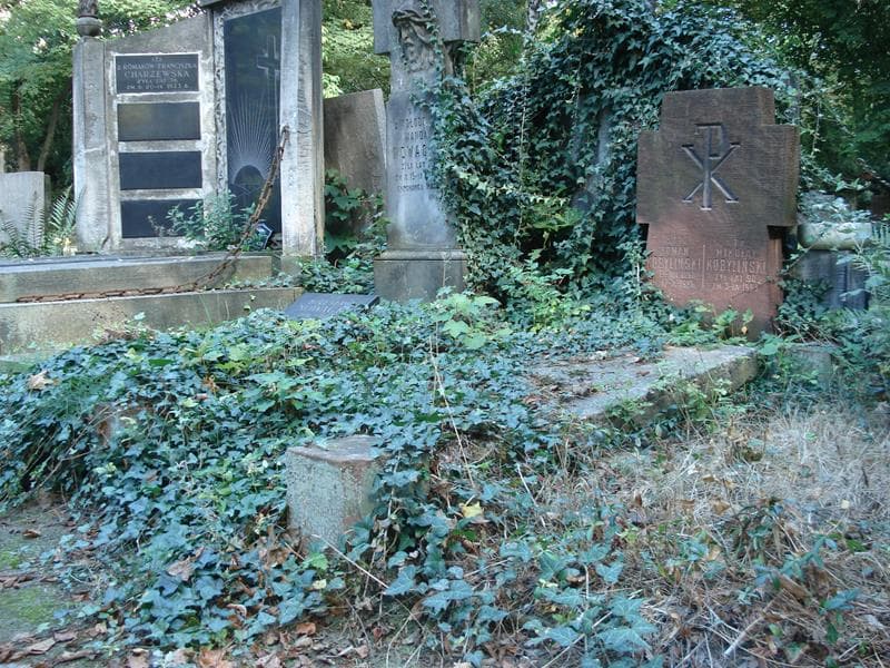 Zdjęcie grobu Mikołaj Kobyliński (1)