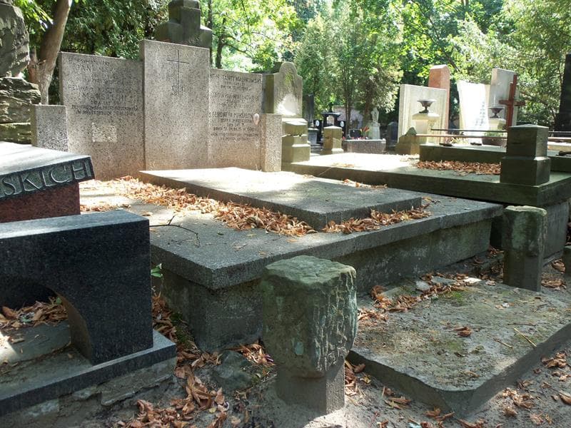 Zdjęcie grobu Konstanty Malinowski (1)
