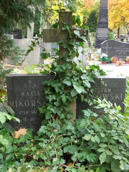 Zdjęcie grobu Maria Mikorska (2)