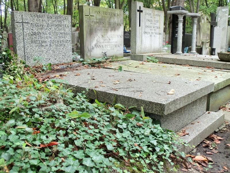 Zdjęcie grobu Helena Tochowicz (1)