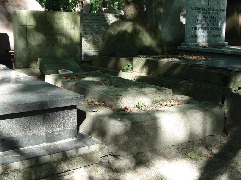 Zdjęcie grobu Marya Woźniakowska (1)
