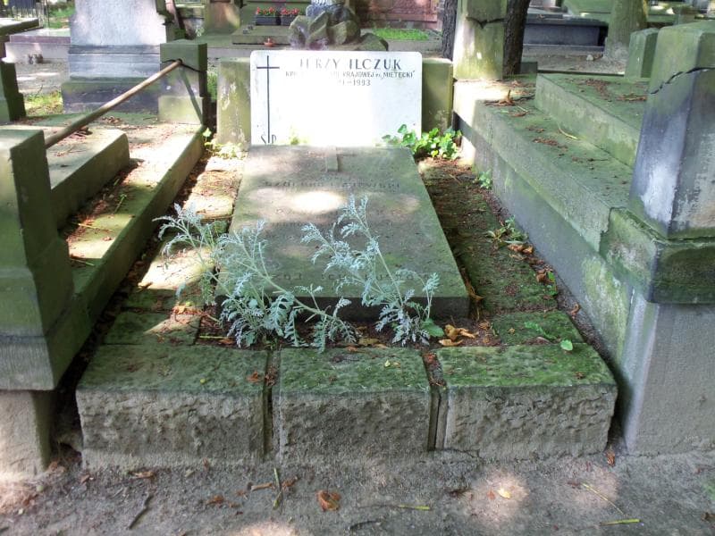 Zdjęcie grobu: Jerzy Ilczuk