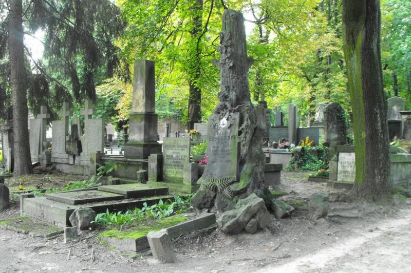 Zdjęcie grobu Karol Borkowski (1)