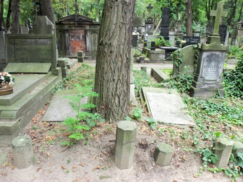Zdjęcie grobu: Helena Dechaine