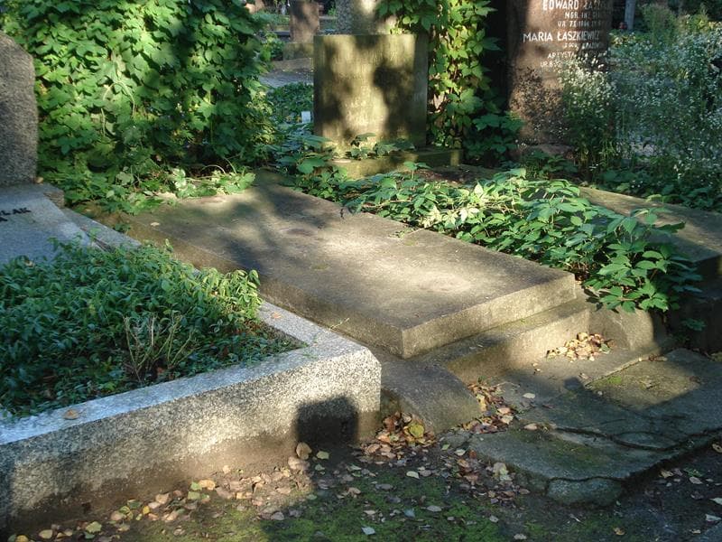 Zdjęcie grobu Zygmunt Guizot (1)