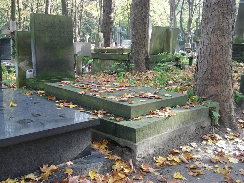 Zdjęcie grobu Jan Wróblewski (1)