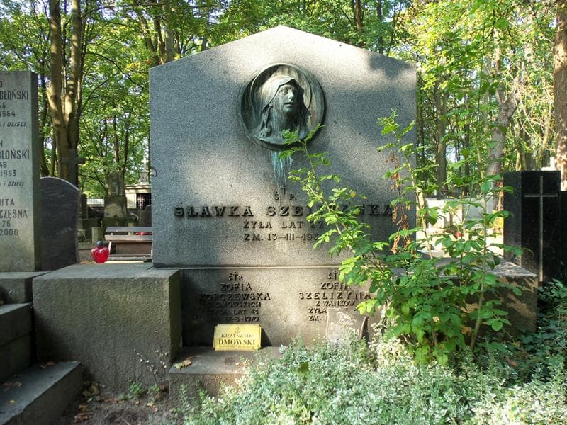 Zdjęcie grobu Zofia Szeliżyna (2)