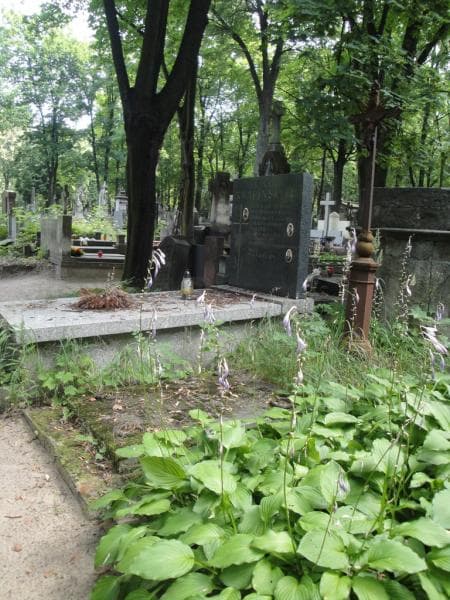 Zdjęcie grobu Zygmunt Doliwa (1)