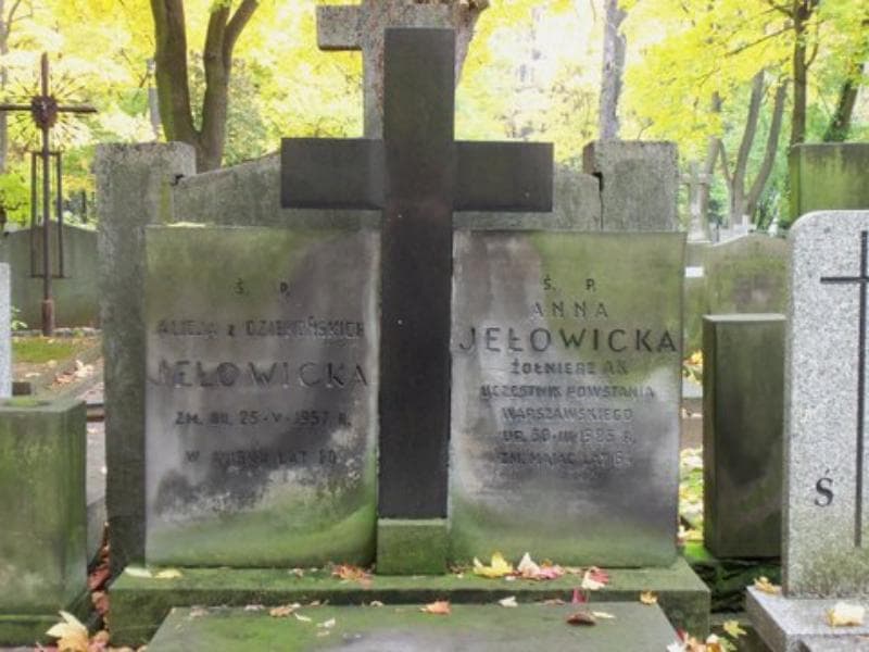 Zdjęcie grobu Anna Jełowicka (2)