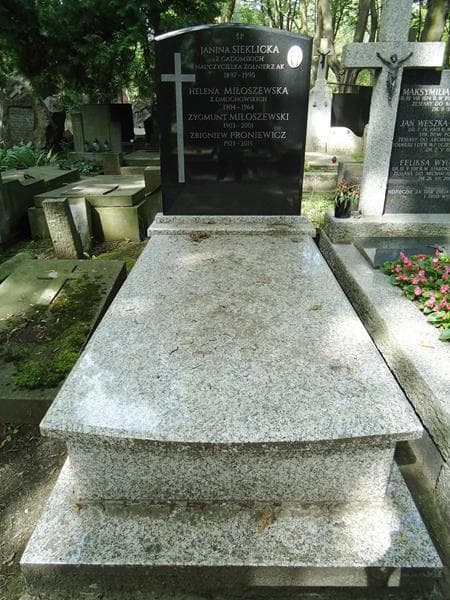 Zdjęcie grobu Janina Sieklicka (1)