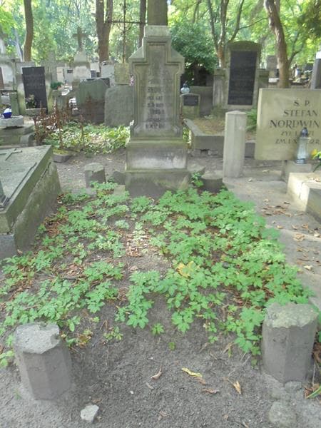 Zdjęcie grobu Lucjan Bębnowski (1)