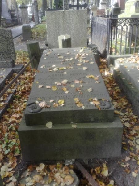 Zdjęcie grobu Ludwik Heryng (2)