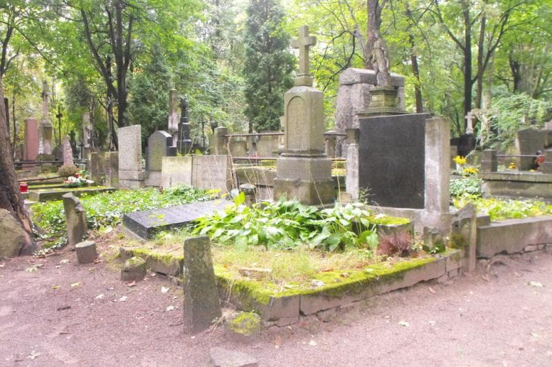 Zdjęcie grobu Franciszek Kublik (1)