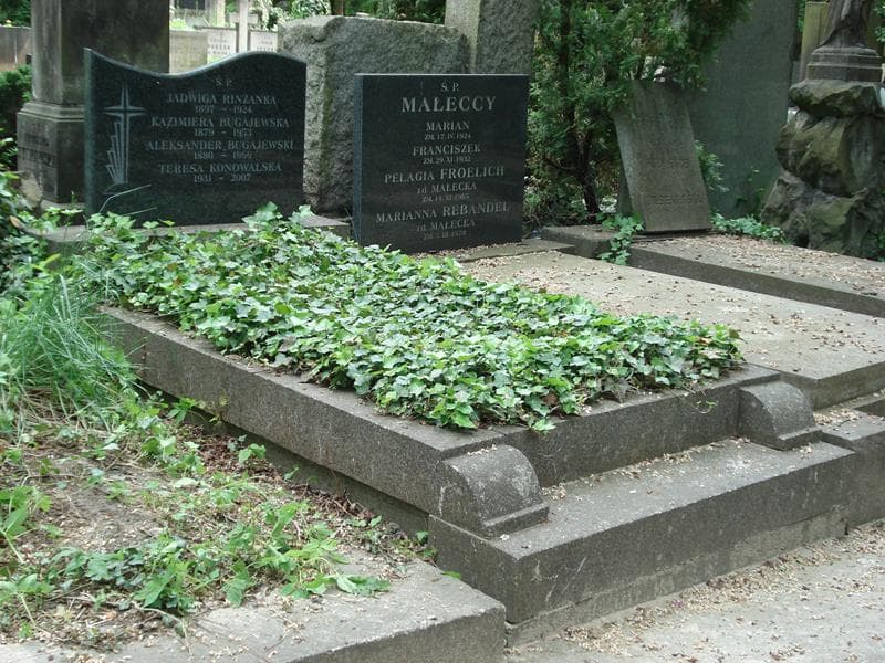 Zdjęcie grobu Aleksander Bugajewski (1)