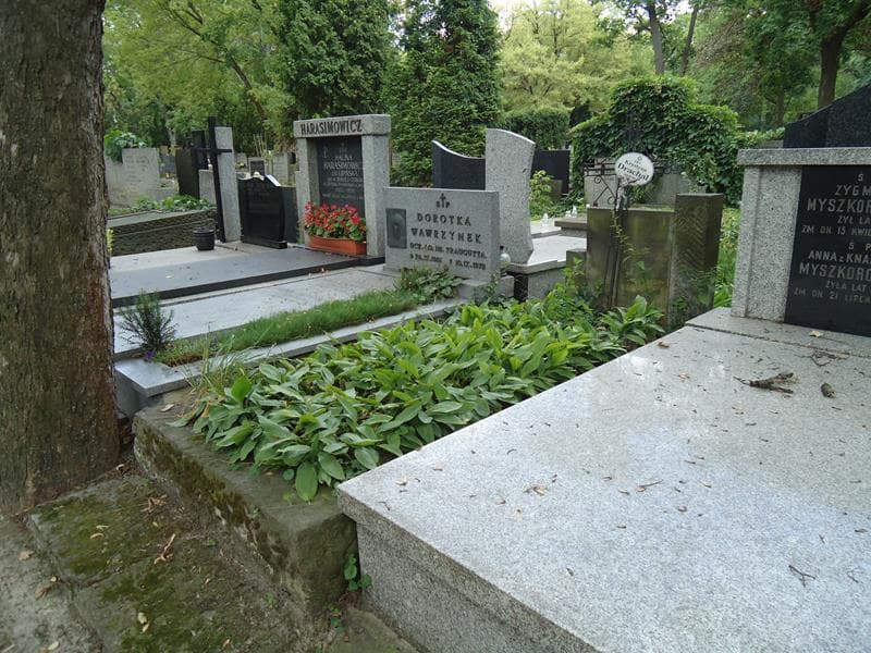 Zdjęcie grobu Krystyna Drachal (1)