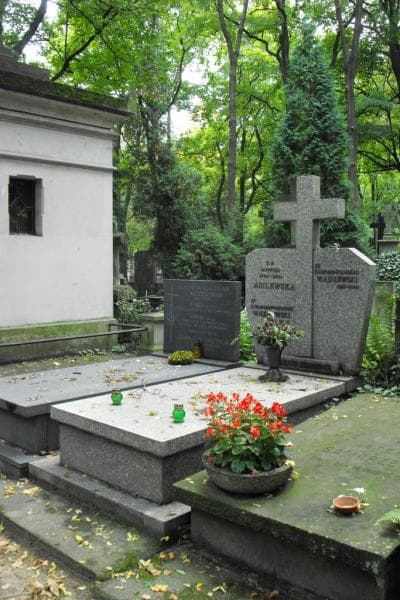 Zdjęcie grobu Tadeusz Edmund Wasilewski (1)
