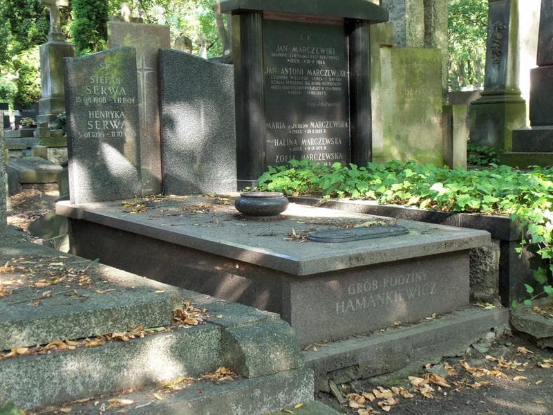 Zdjęcie grobu Henryka Serwa (1)