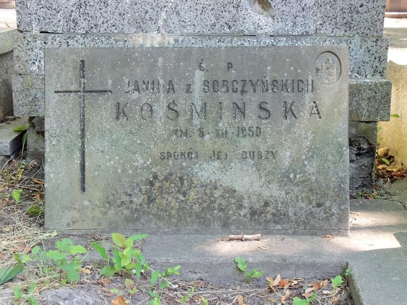 Zdjęcie grobu Janina Kośmińska (2)