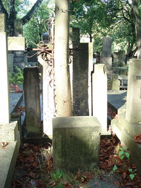 Zdjęcie grobu Teresa Tomczyńska (2)