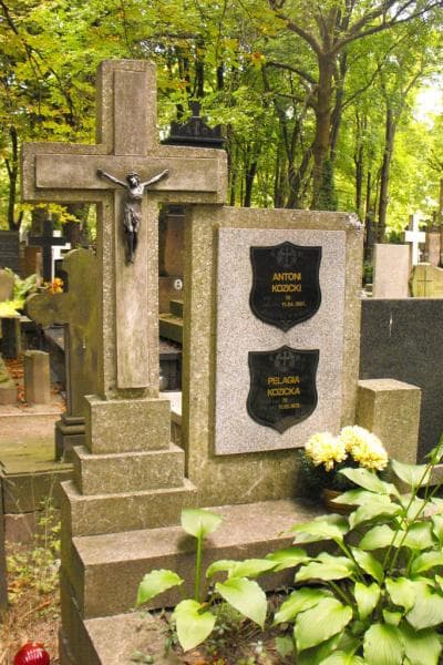 Zdjęcie grobu Antoni Kozicki (2)