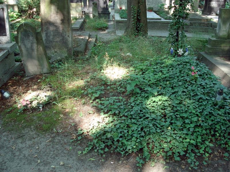 Zdjęcie grobu: Pole Grobowe