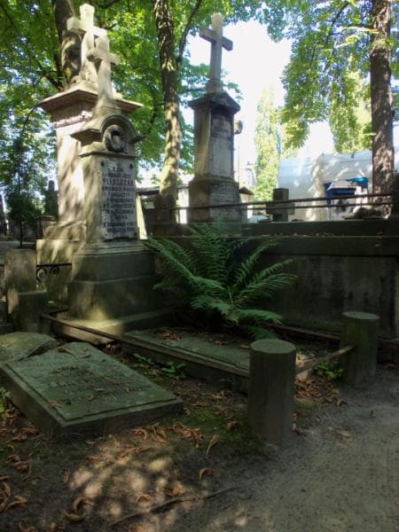 Zdjęcie grobu Józef Pliszczak (1)