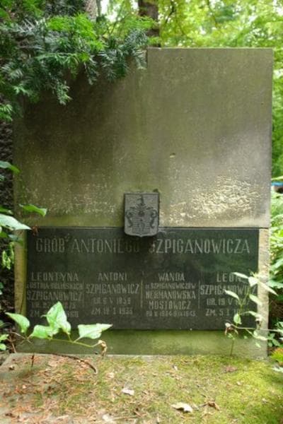 Zdjęcie grobu Wanda Hermanowska Mostowicz (2)