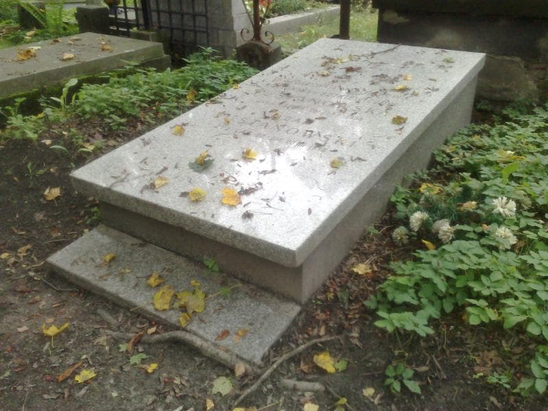 Zdjęcie grobu Antonina Tustanowska (1)