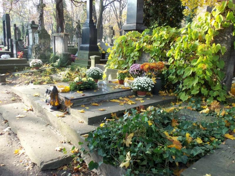 Zdjęcie grobu Helena Gorgolewska (1)