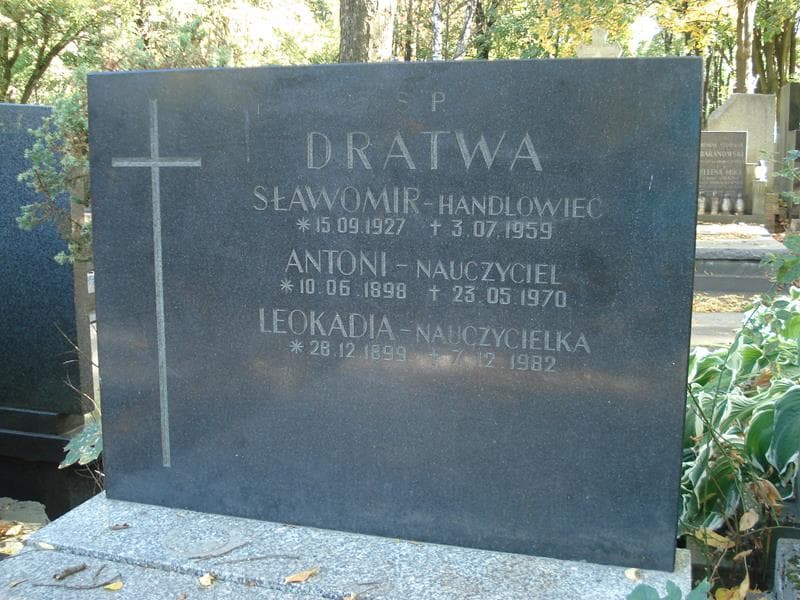 Zdjęcie grobu Antoni Dratwa (2)