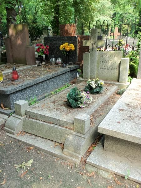 Zdjęcie grobu Władysława Stradecka (1)