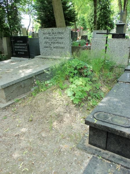 Zdjęcie grobu Karolina Kuczyńska (1)