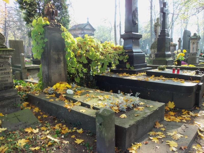 Zdjęcie grobu Halinka Węglarska (1)