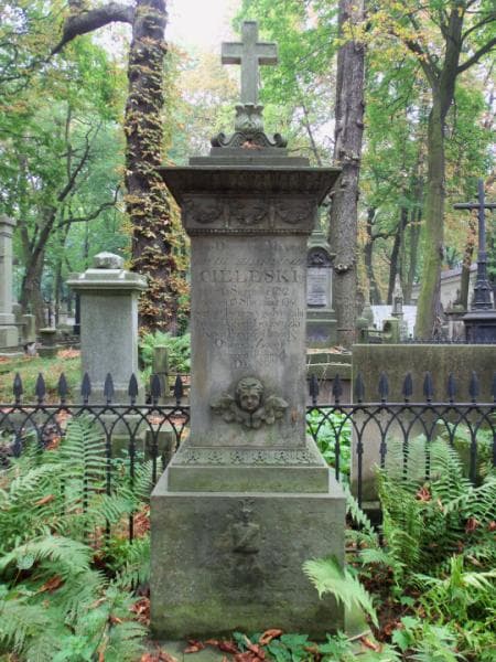 Zdjęcie grobu Ignacy Tadeusz Królikowski (2)