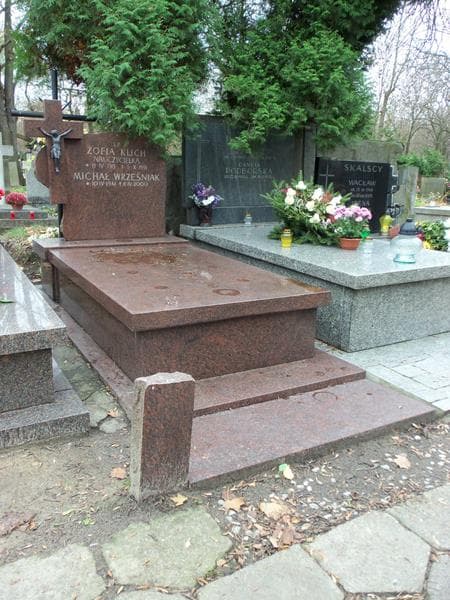 Zdjęcie grobu Michał Wrześniak (1)