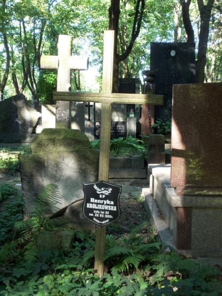 Zdjęcie grobu Henryka Królikowska (1)