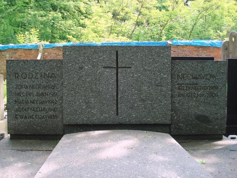 Zdjęcie grobu Mieczysława Nechay (2)