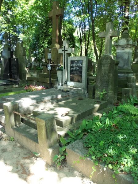 Zdjęcie grobu: Konstancja Czarnecka