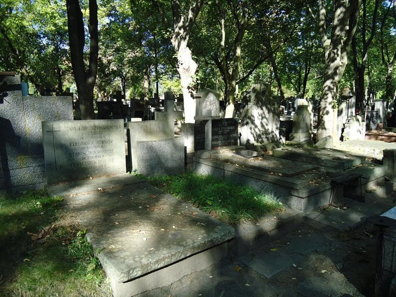 Zdjęcie grobu Aniela Strawińska (1)