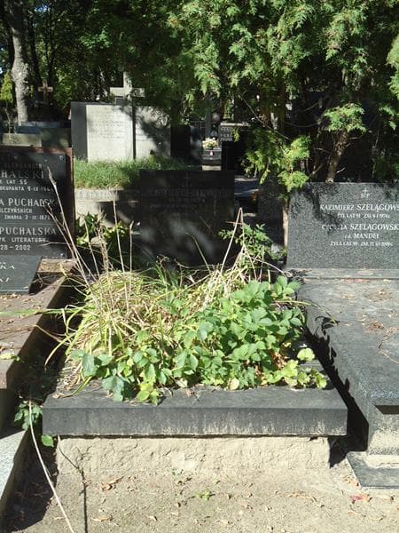 Zdjęcie grobu: Henryk (jan) Neufeld (kowalewski)