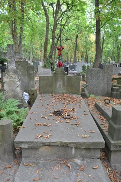 Zdjęcie grobu Waciunia Nowakowska (1)
