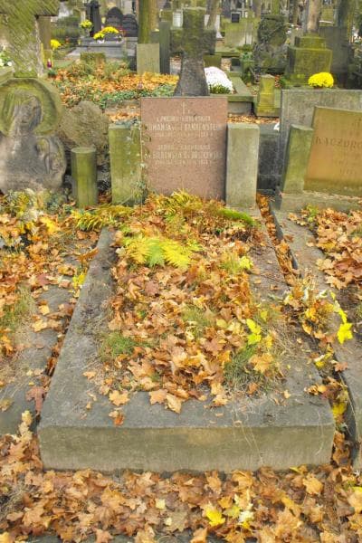 Zdjęcie grobu: Romanja Von Frankenstein