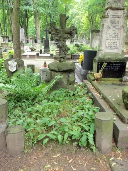 Zdjęcie grobu: Bolesław Żółkiewski