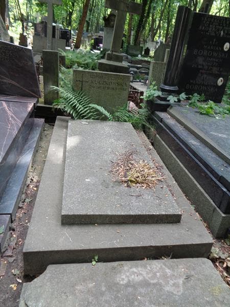 Zdjęcie grobu Ludwika Kuczkowska (1)