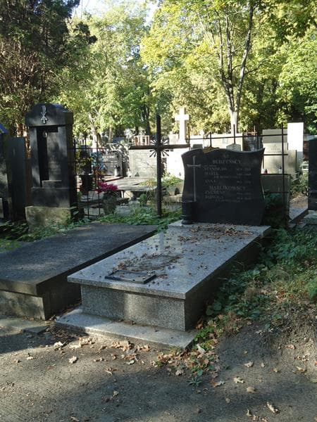 Zdjęcie grobu Anna Budzyńska (1)