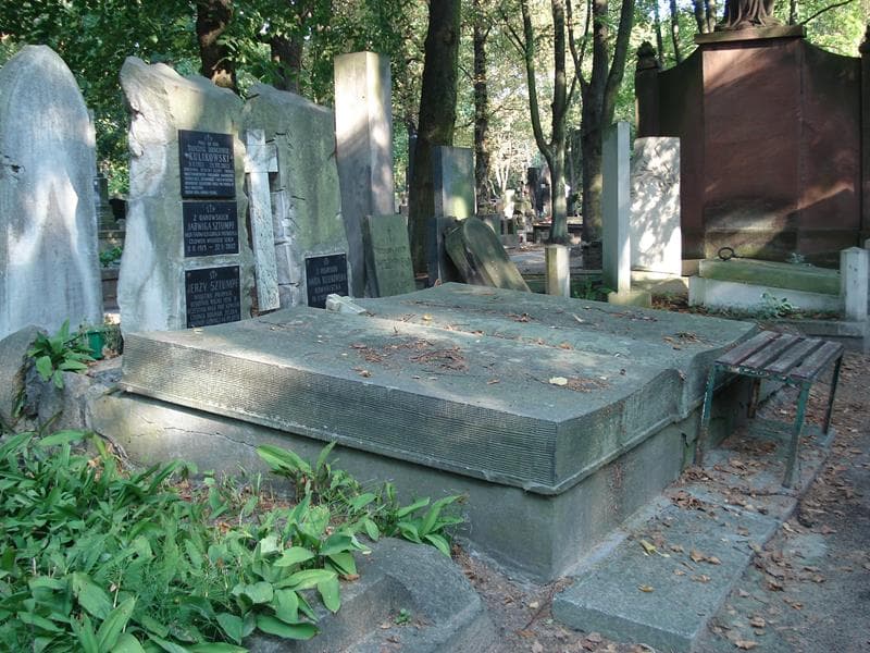 Zdjęcie grobu Tadeusz Drogomir Kulikowski (1)