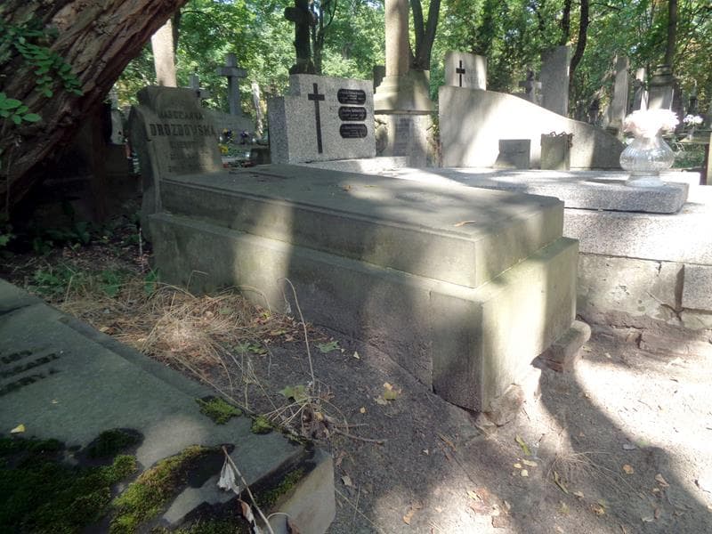 Zdjęcie grobu: Marcyjanna Drozdowska